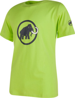 Koszulka Mammut Logo Men sprout