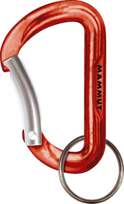 Mammut Mini Biner Element red