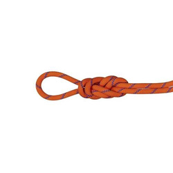 Lina Mammut 9.0 Alpine Sender Dry Rope (60M) sunrise-ice