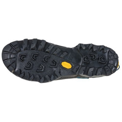 Buty La Sportiva TX5 GTX®  Low Men opal-carbon