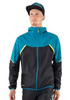 kurtka męska Dynafit Alpine GTX Jkt08-71468-8561 reef/0910