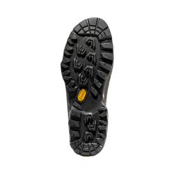 Buty La Sportiva TX5 GTX®  Low Men savana-tiger