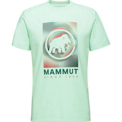 Koszulka Mammut Trovat T-Shirt Mammut Men neo mint