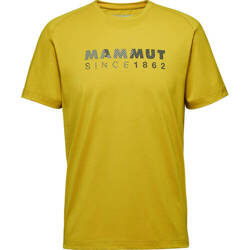 Koszulka Mammut Trovat T-Shirt Men Logo aura