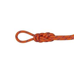 Lina Mammut 9.0 Alpine Sender Dry Rope (60M) sunrise-ice